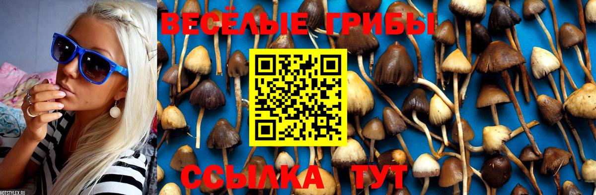 Железноводск  Псилоцибиновые грибы MAGIC MUSHROOMS  Вход с VPN 