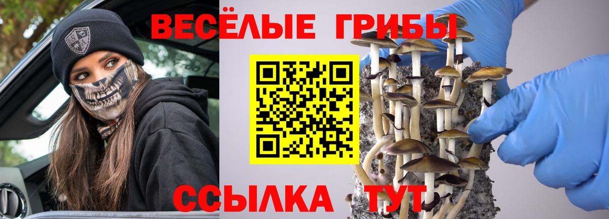 Галлюциногенные грибы мицелий Железноводск